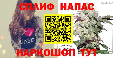 дживик Волжский