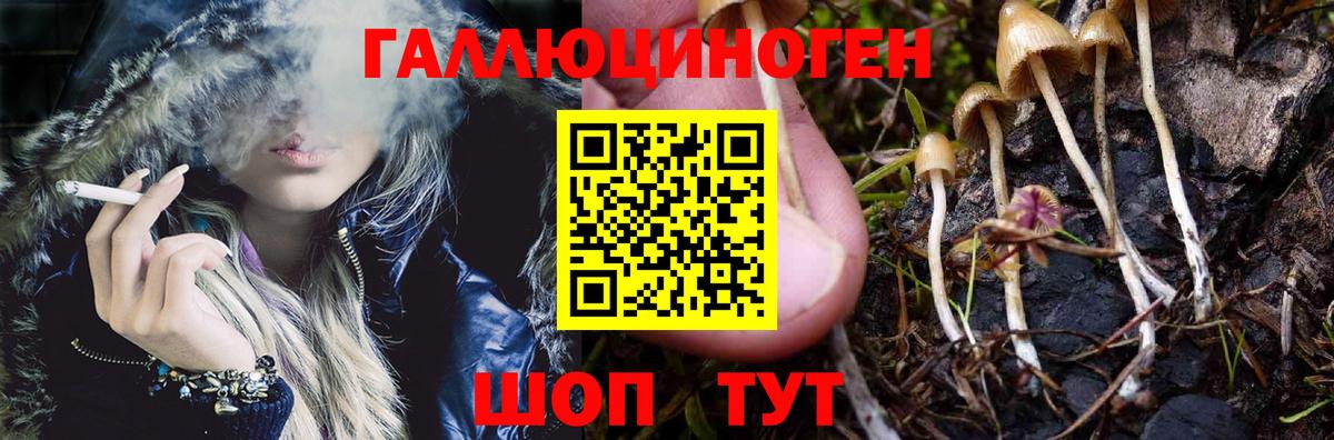 Псилоцибиновые грибы GOLDEN TEACHER Кинешма