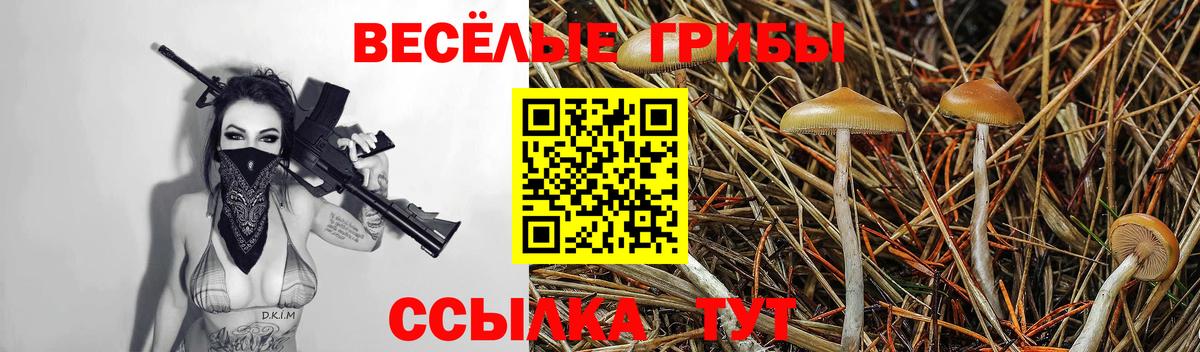 Галлюциногенные грибы мухоморы  Вход с VPN  Кинешма 